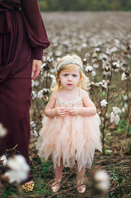 Cotton field family photos