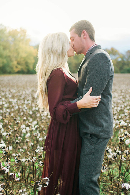 Cotton field family photos