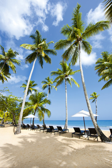 Sublime Samana in Dominican Republic
