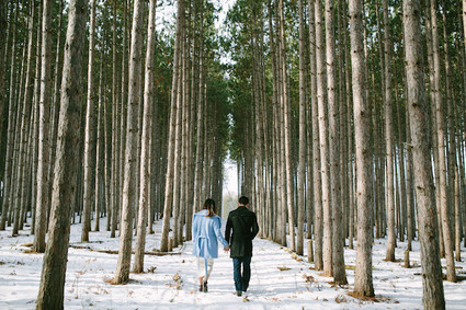 winter forest maternity photos
