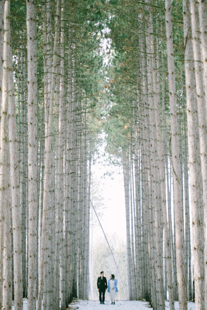 winter forest maternity photos