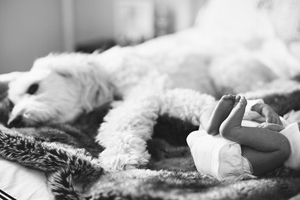 brooklyn newborn photos