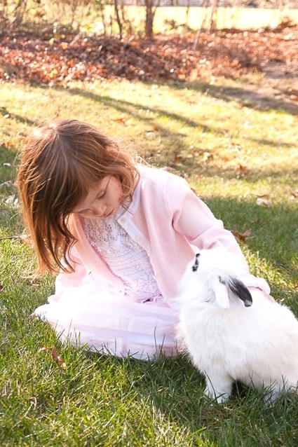 Bunny birthday party ideas