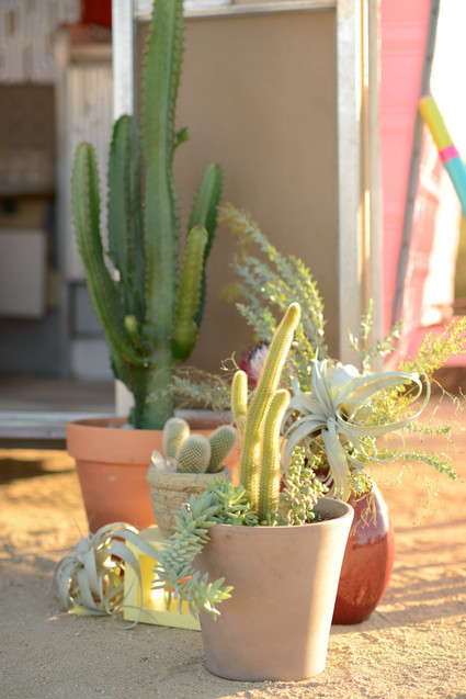 bohemian vintage camper party