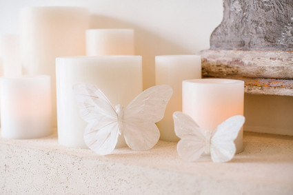 butterfly decor