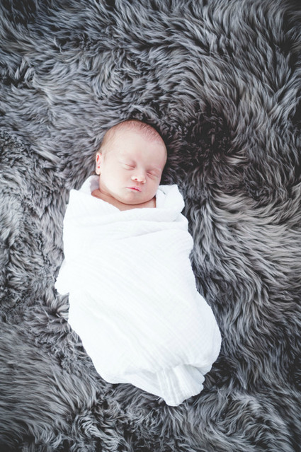 elegant newborn photos