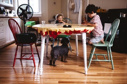 Cape Cod lifestyle family session