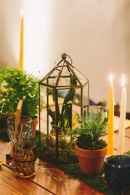 Terrarium decor