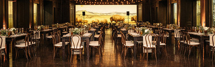 Natural History Museum wedding