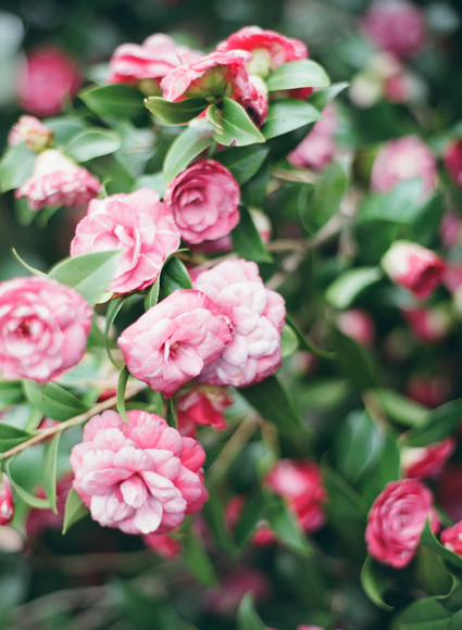 Spring tea party for little girls