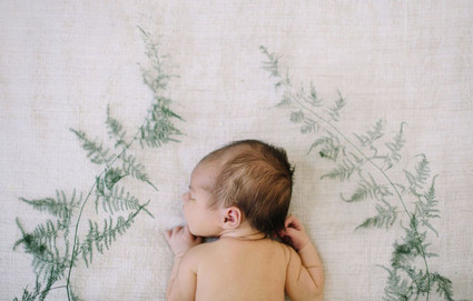 greenery styled newborn photos