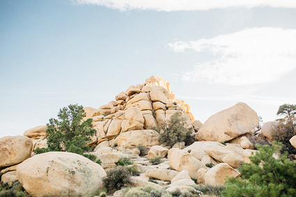 Joshua Tree family photos