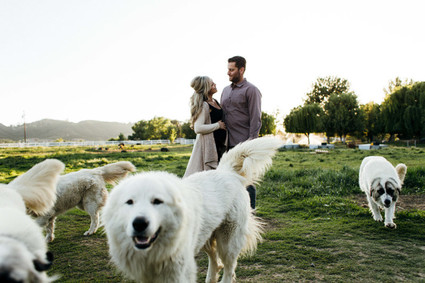Farm maternity photos Inspiration