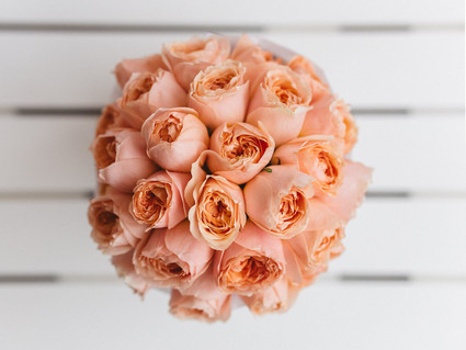 peach roses