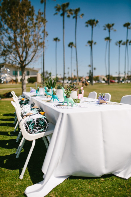 Modern dinosaur 2nd birthday