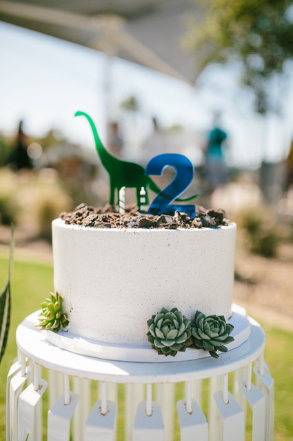 Modern dinosaur 2nd birthday Inspiration