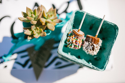 Modern dinosaur 2nd birthday