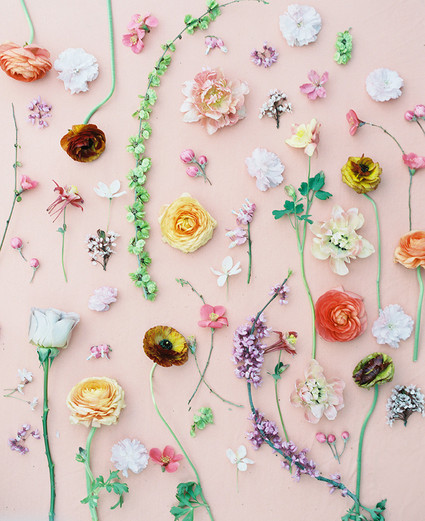 Spring florals