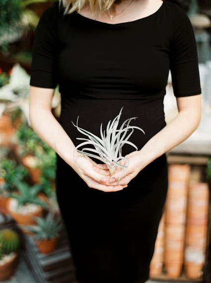 greenhouse maternity photos