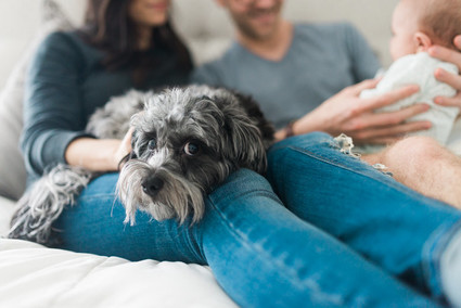Neutral, modern boy's nursery