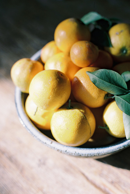 Topanga Canyon family photos