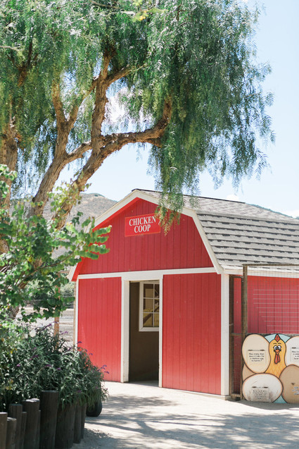 Vintage camp birthday party