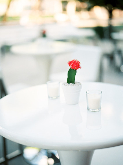 Modern Arizona wedding