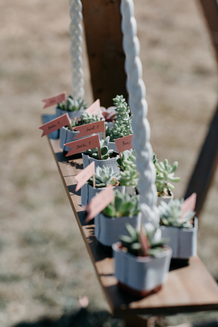 Succulent escort cards Inspiration