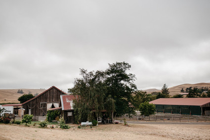 Bohemian farm wedding