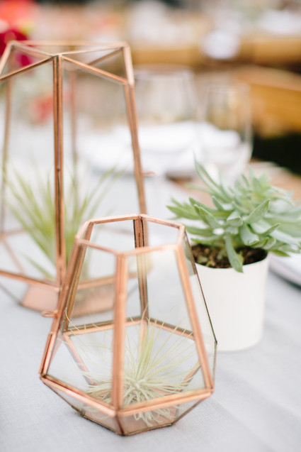 Geometric plant holder