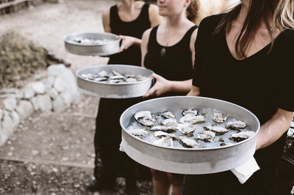 Oyster appetizers