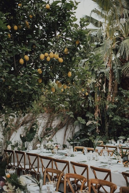 Tropical Palm Springs wedding