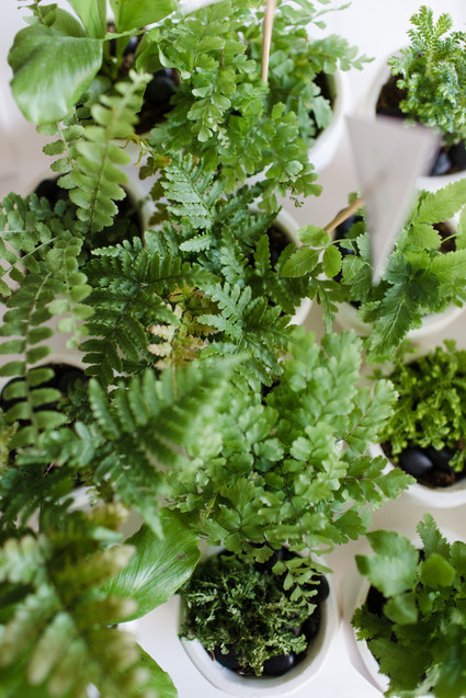 Modern black and white baby shower