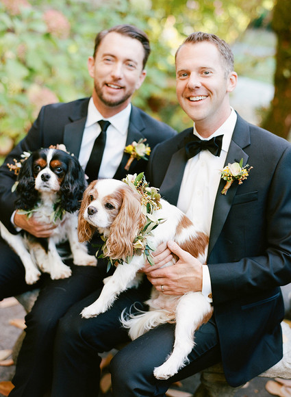 Wedding pets