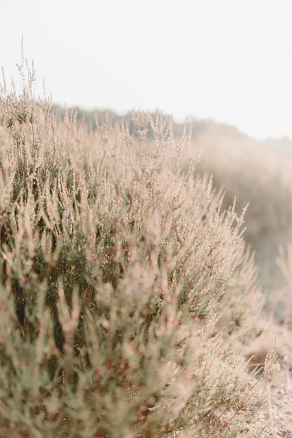 all white bohemian maternity photos