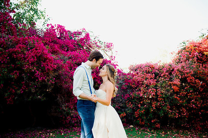 Bougainvillea flowers