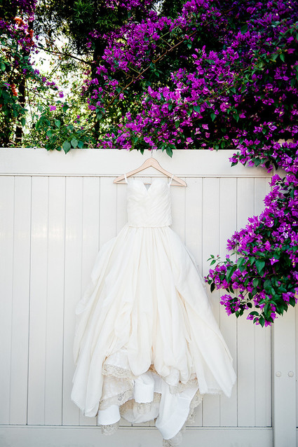 Bougainvillea flowers