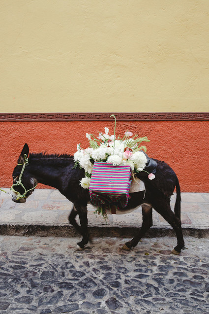 Destination Mexico wedding