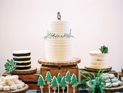 First birthday camping cakes