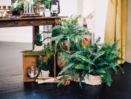 Woodsy 1st birthday Korean Dol