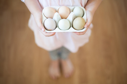 Natural light family newborn photos
