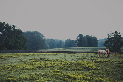 Romantic southern orchard wedding inspiration