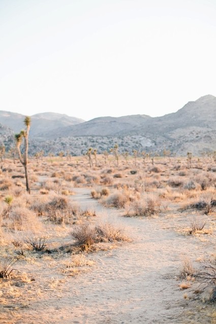 Joshua Tree maternity photos