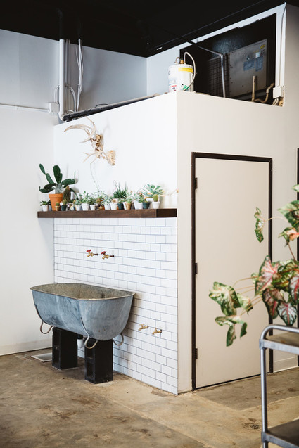 romantik floral studio tour