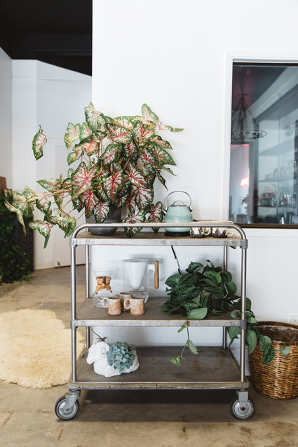 romantik floral studio tour