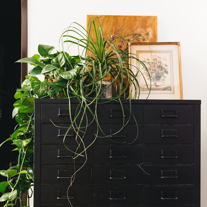 romantik floral studio tour Inspiration