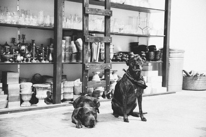 romantik floral studio tour