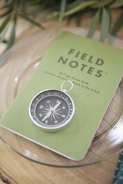 National Parks inspired birthday party ideas