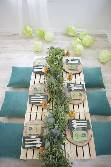 National Parks inspired birthday party ideas