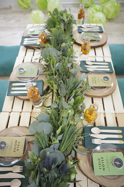 National Parks inspired birthday party ideas